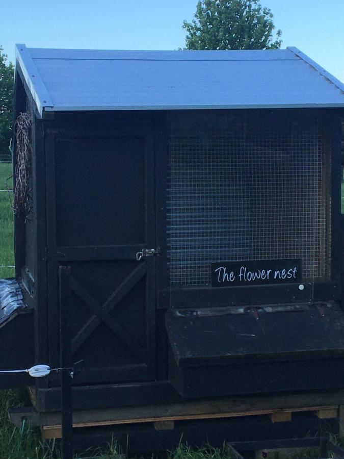 The Flower Nest Retreat Apartment Te Puna Luaran gambar